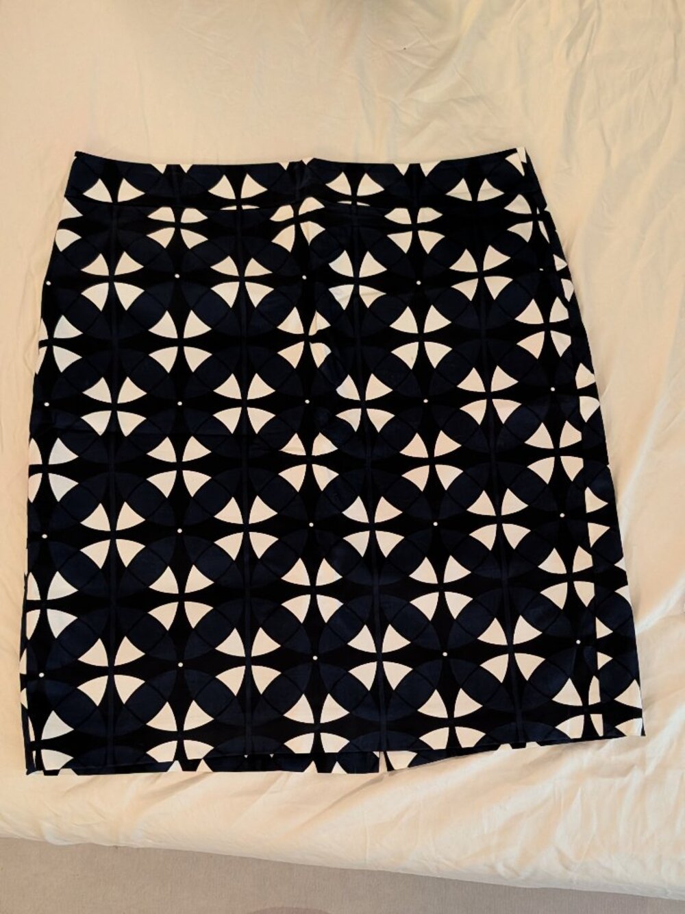 Ann Taylor Pencil Skirt